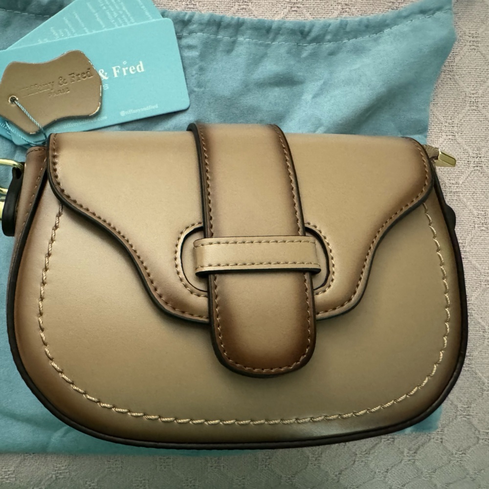 NWT Tiffany & Fred Ombré Soft Leather Bag w/chain